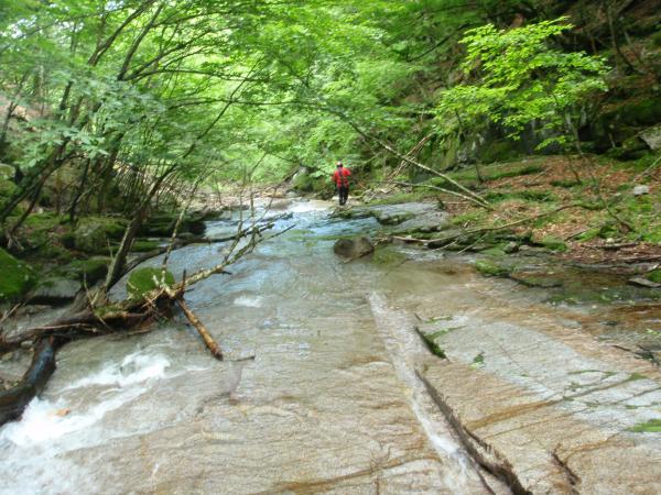 元来た道を帰ります。